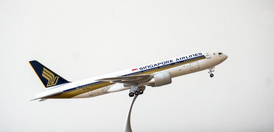 これからどんどん出品されます