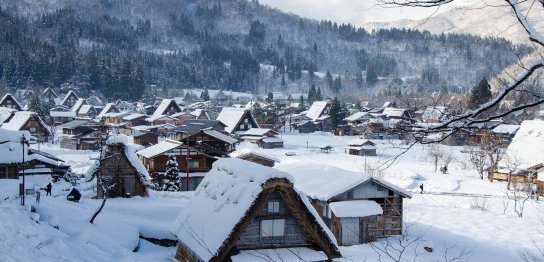 『おだまき』ってなに❓