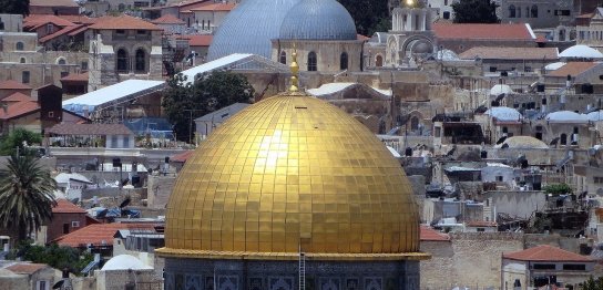 整合性（中東の感染症への対応優等生国が、ここに来て苦しんでいる！）